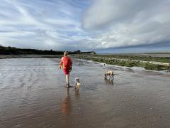 Walking along Doniford Beach, Helwell Bay